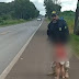 VÍDEO: PRF resgata criança de 4 anos que caminhava de fralda em rodovia 