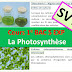 Cours 1e BAC S EXP SVT:  La Photosynthèse  