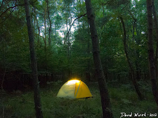 glowing tent at night, exposure, stars, forest, dark