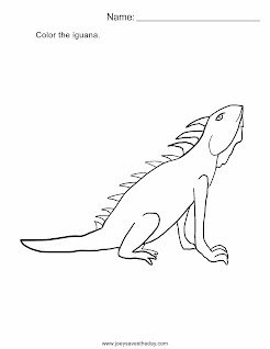 Iguana worksheet