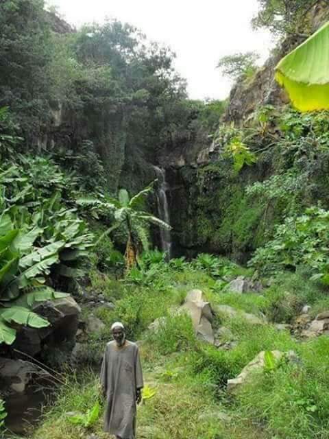 صور جميلة من منطقة جبل مرة غرب السودان غابات جبل مره