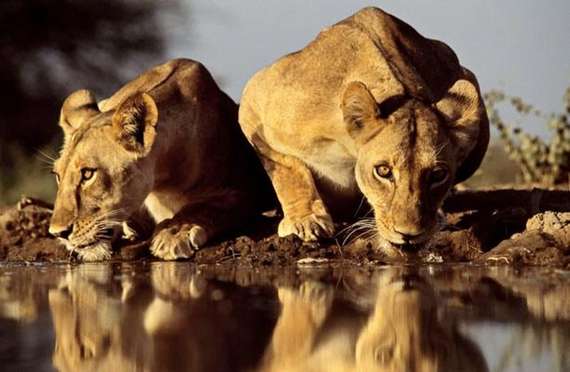 Cool And Amazing Photographs | Greg Du Toit Seen On www.dil-ki-dunya.tk