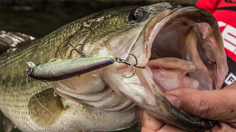 Jerkbait Fishing around Floating Docks - Wired2Fish