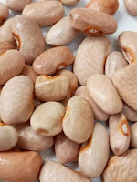 pale tan beans with orange-toned eyes.