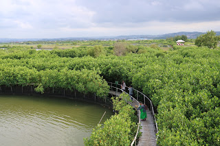 Mangrove Edupark