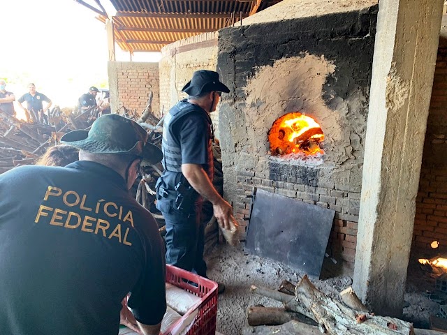 Polícia Federal incinera mais de 1 tonelada de drogas apreendidas em cidades do Piauí