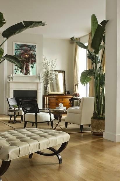 white traditional living room  
