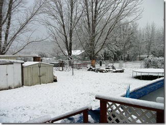 DSCF0938