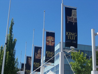 King Tut flags hanging outside science center