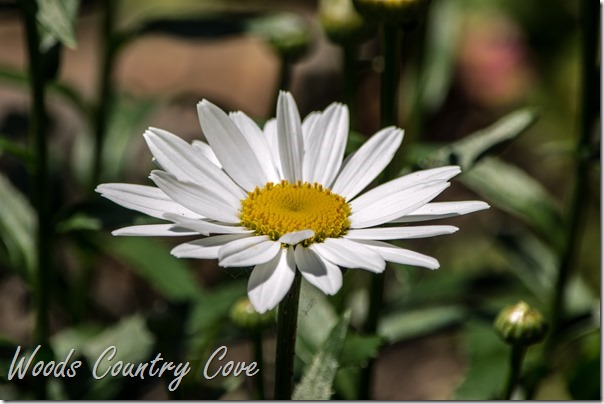JUNE 2016 (26 of 47)