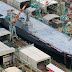 Japan unveils its new aircraft carrier - Izumo