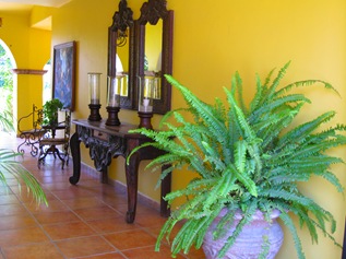 Cabo San Lucas 3 084