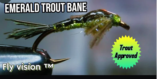 Emerald Trout Bane wet fly in vise, featuring green dubbing and golden pheasant legs, with text reading “Trout Approved” and “Fly Vision™” overlay.  Image 2 (Trout):