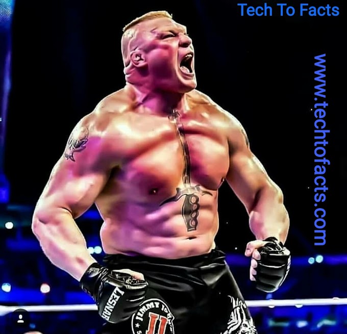  Brock Lesnar net worth in rupees