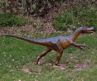  DROMAEOSAURIDAE