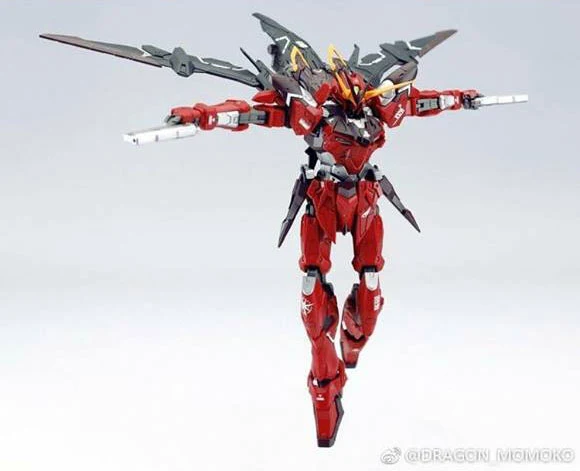 DM MG 1/100 ZGMF-X12A Gundam Testament 