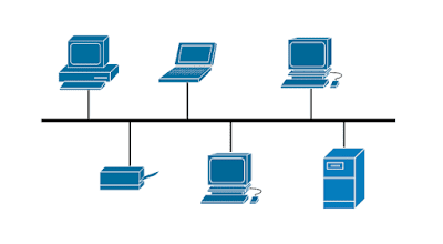 bus network