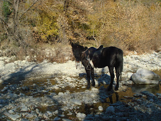 Horsexplore, riitta reissaa, Albania, ratsastusmatka