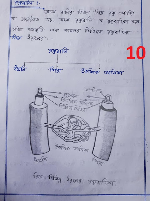 SSC Biology Chapter 6 Hand Note