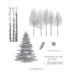 Heart's Delight Cards, Winter Woods, SRC - Winter Woods, Stampin' Up!