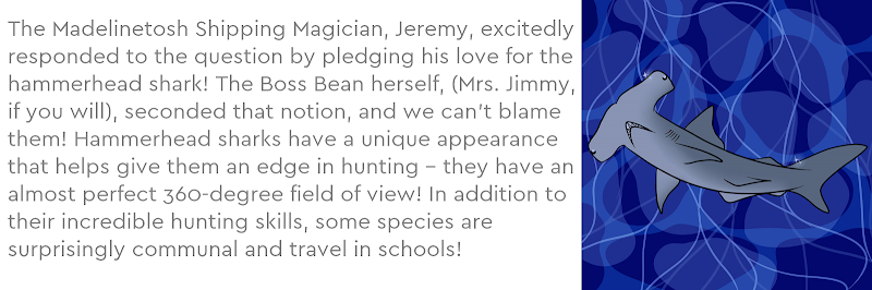 The Madelinetosh Shipping Magician, Jeremy, excitedly responded to the question by pledging his love for the hammerhead shark! The Boss Bean herself, (Mrs. Jimmy, if you will), seconded that notion, and we can’t blame them! Hammerhead sharks have a unique appearance that helps give them an edge in hunting – they have an almost perfect 360-degree field of view! In addition to their incredible hunting skills, some species are surprisingly communal and travel in schools!