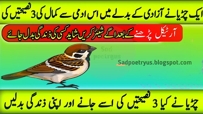 Motivational Story in Urdu, English & hindi | Three Advices of a Sparrow | Moral Story