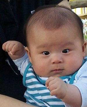 Funny Pictures Of Babies