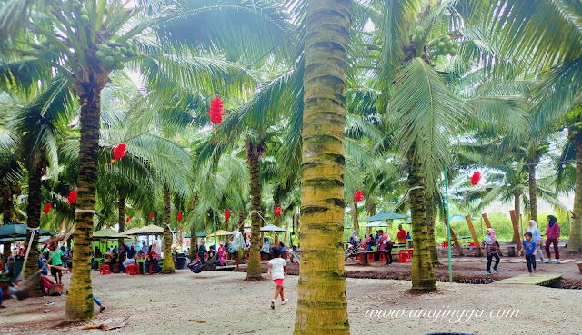 Sekinchan Coconut Farm