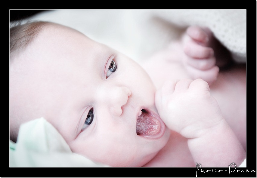 DVM_4429sm