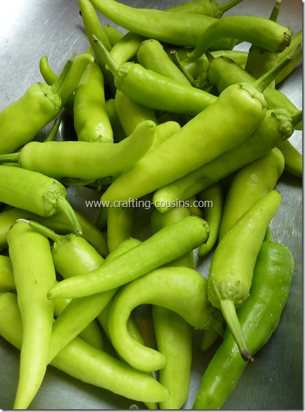Prepare peppers for freezer storage (1)