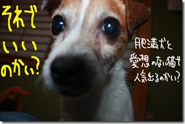 今日カズ１００２２７　５