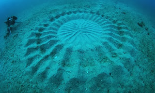 Ditemukan Crop Circle di Kedalaman Dasar Laut