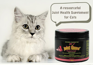 A resourceful Joint Health Supplement for Cats