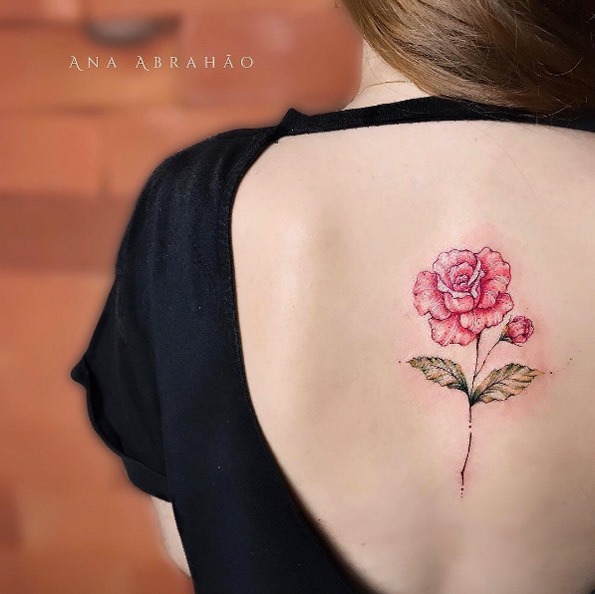 isso_s_rosa