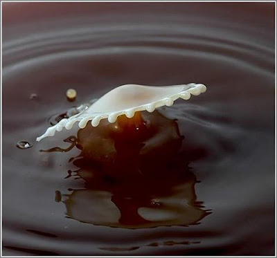 super slow motion picture of cream drops to coffee 8
