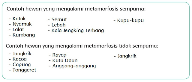  Materi dan Kunci Jawaban Tematik Kelas  Kunci Jawaban Tematik Kelas 4 Tema 6 Subtema 1 Halaman 14, 16, 17, 21