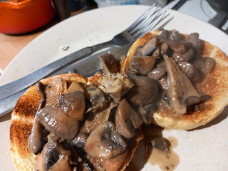 rich mushrooms on round brioche toast