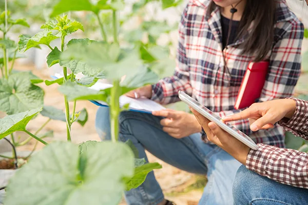 Desafios-educación-rural-Colombia