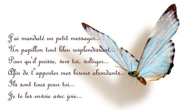 Citations Option Bonheur Message D Amitie Sur Panneau Avec Papillon