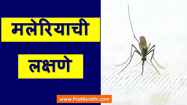 Malaria Symptoms in Marathi