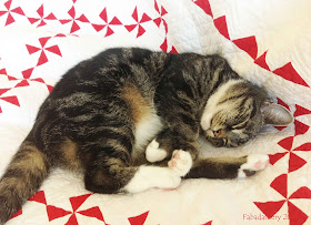 Cat On Quilt Category - Princess Suzi on Red and White Pinwheel Quilt