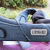 Konjac Neck Shoulder Massager with Arm Straps