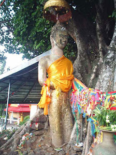 Mongkol Standing Buddha 