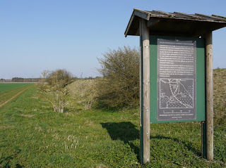 Keltenschanze/Viereckschanze im Lanzenhaarer Feld