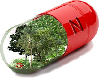 Los 5 Increíbles analgésicos naturales que no te puedes perder