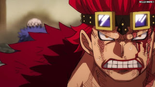 ワンピース アニメ 1070話 ユースタス・キッド EUSTASS KID | ONE PIECE Episode 1070