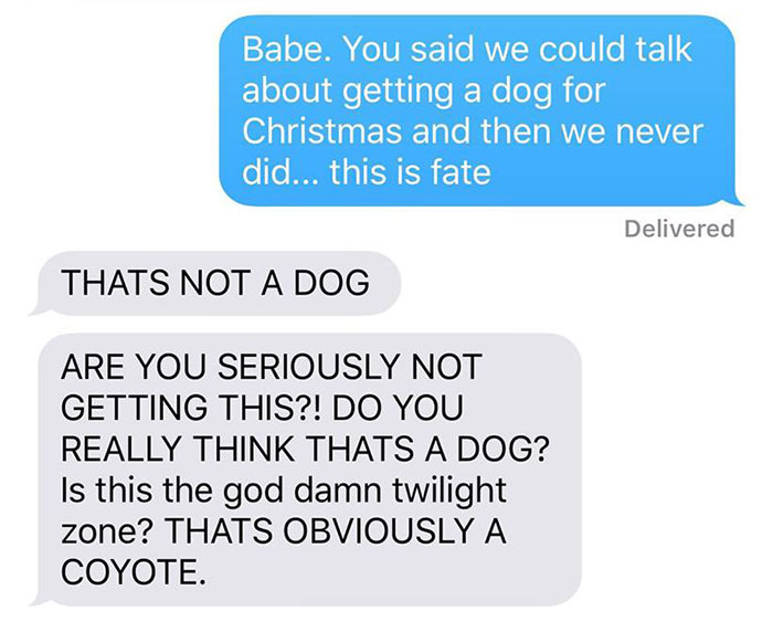 Wife Texts Husband She Brought A Dog Home While The Pic Shows A Coyote, And He Seriously Freaks Out