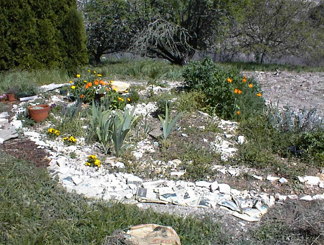 Expanding and Improving the Herb Garden