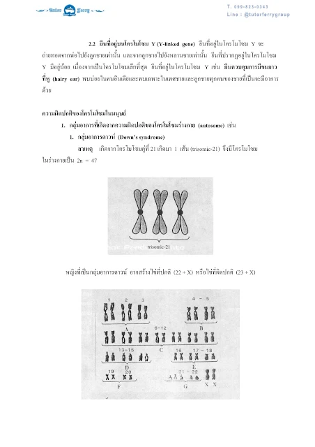 วิชาชีววิทยา เรื่องพันธุศาสตร์ ตอนที่ 1