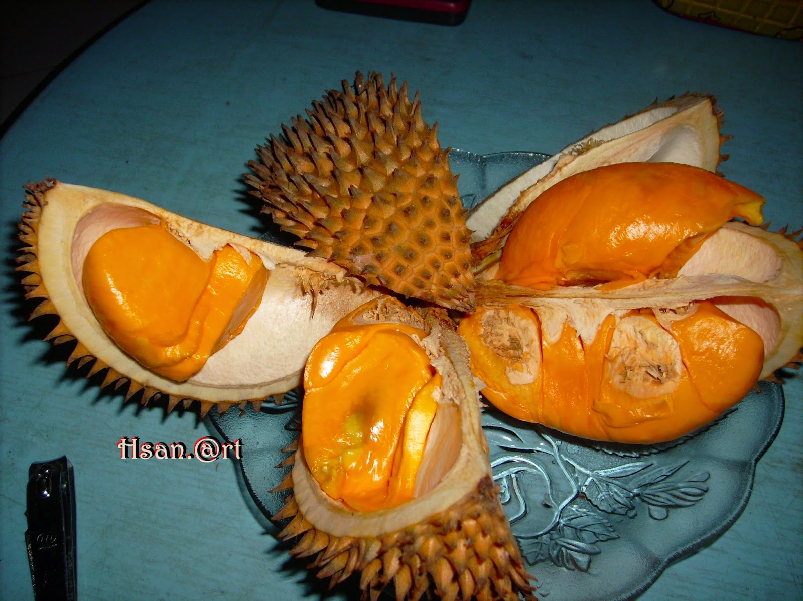 Balailamo 11 jenis durian  di Indonesia